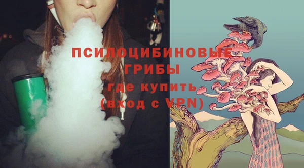 герыч Инсар