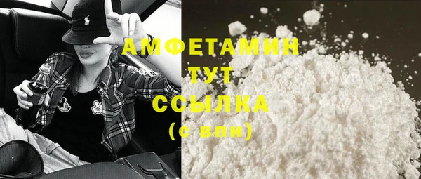 ГАЛЛЮЦИНОГЕННЫЕ ГРИБЫ Инта