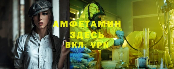 ГАЛЛЮЦИНОГЕННЫЕ ГРИБЫ Инта