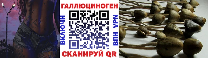 маркетплейс клад Николаевск-на-Амуре Псилоцибиновые грибы мухоморы